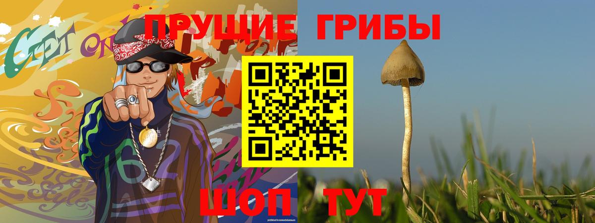 Галлюциногенные грибы мухоморы  Псилоцибиновые грибы Psilocybine cubensis  Артёмовский  Вход с VPN 